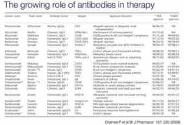 nfs.unipv.it Antibody