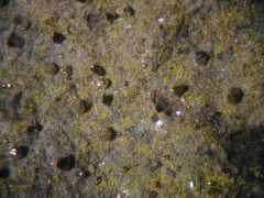 tw.strahlen.org Antimon