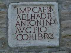 vetoniana.de Antinino