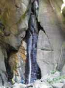 Antolina