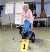 cocker-vom-niendorfer-gehege.de Antonovicz