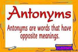instantdisplay.co.uk Antonym