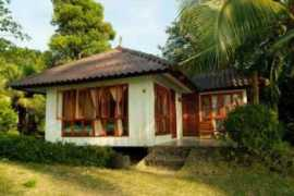 Anyamanee