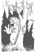 Aouka