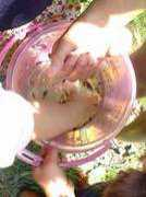 .tba.t-com.ne.jp Aoune