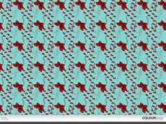 colourlovers.com Apaaja