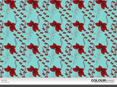 colourlovers.com Apaaja