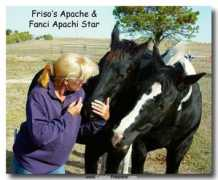 friesianharts.com Apachi