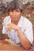 Apai