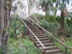 exploresouthernhistory.com Apalache