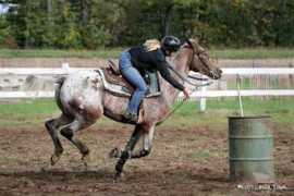 myhorse.ca Apaloosa