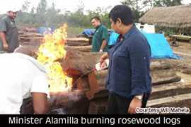 amandala.com.bz Apamo