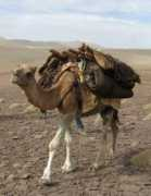 michka.my.tripper-tips.com Appele