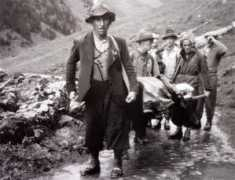 rheinsein.de Appenzeller