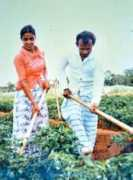 silumina.lk Appuhami