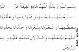duas.org Aqiqa