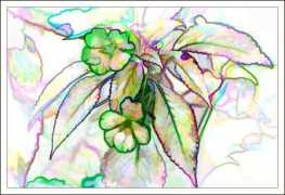 photoforum.ru Aquarelle