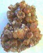 Aragoni
