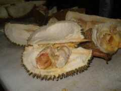 balikbayanbox.pansitan.net Arancillo