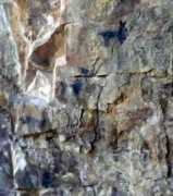 perutoptours.com Araro