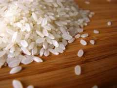 ganzomag.com Arborio