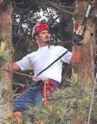 texturadesign.com Arborist