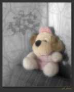 photoforum.ru Arbuz