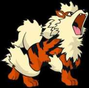 Arcanine