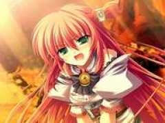 Arcie