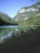 Arcine