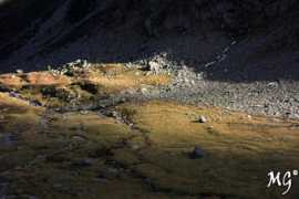 forum.meteonetwork.it Ardimento
