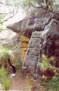 Arean