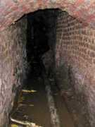 fabrice-muller.be Areine