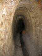 fabrice-muller.be Areine