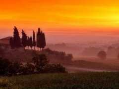 localidautore.it Aretina