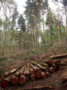 geograph.org.uk Arger