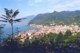 artvindernegi.com Arhavi