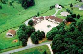 blueridgeequine.com Arial