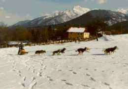 Arkha