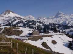 Arlas