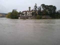 lanazione.it Arnop