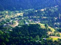 resimler.tv Arpali