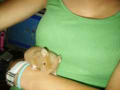 Arrietty