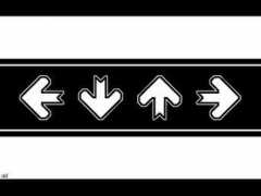 Arrows