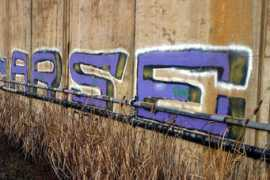 Arse