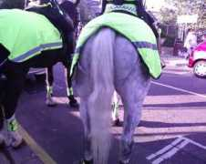 Arse