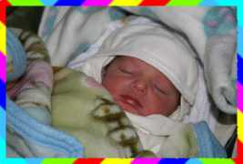 kurdistany.net Arselan