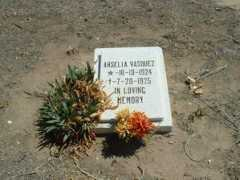 coloradoplains.com Arselia