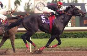 jockeysite.com Artax