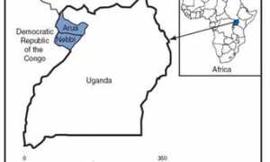 Arua